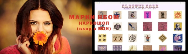 ПСИЛОЦИБИНОВЫЕ ГРИБЫ Балабаново