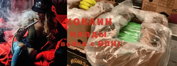 прущие грибы Козельск