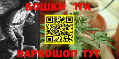 jwh Бийск