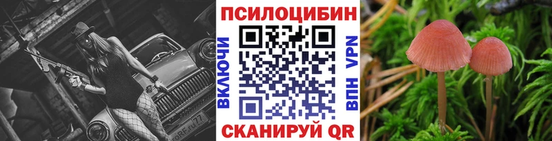 Псилоцибиновые грибы мицелий Великие Луки