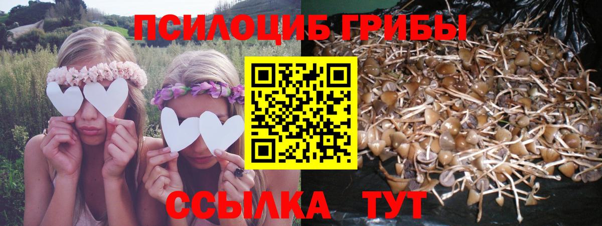 Псилоцибиновые грибы ЛСД  Галлюциногенные грибы Magic Shrooms  даркнет сайт  Великие Луки  Вход с VPN 
